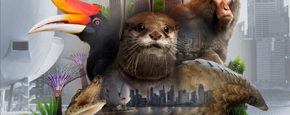 Wild City website image 4