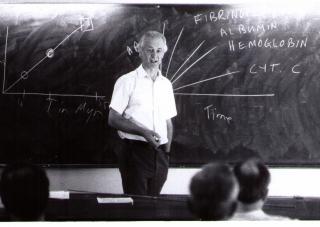 assets/Uploads/_resampled/SetWidth320-AW-Blackboard1-2.jpg