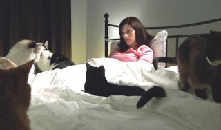 assets/Uploads/_resampled/SetWidth320-Cat-Ladies.jpg