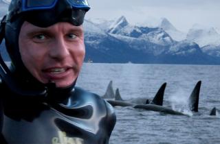 assets/Uploads/_resampled/SetWidth320-Copy-of-AC15006Stig-and-Orcas-in-Norway-Esben-Hardt.jpg