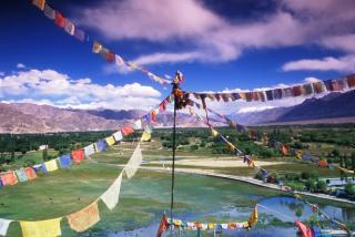 assets/Uploads/_resampled/SetWidth320-Copy-of-TJ-The-Himalayas.jpg