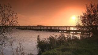 assets/Uploads/_resampled/SetWidth320-Scenic-Journeys-on-British-and-Irish-Waterways.jpg