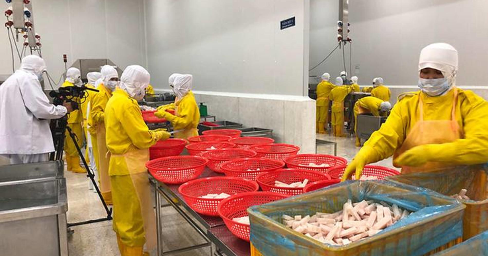 Fish Wars: Food Fraud Exposed » TVF International